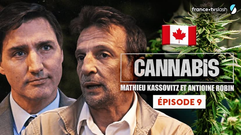 Banner_9_CANNABIS