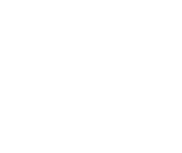 LOGO TOG